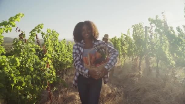 Donna africana che cammina con cesto vegetale mentre contadino maschio caucasico — Video Stock