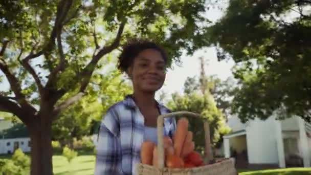 African America agricultrice marchant à travers le village portant panier de légumes — Video