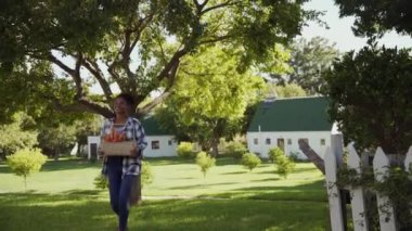 Köyde elinde sebze kutusuyla dolaşan melez bir kadın çiftçi.