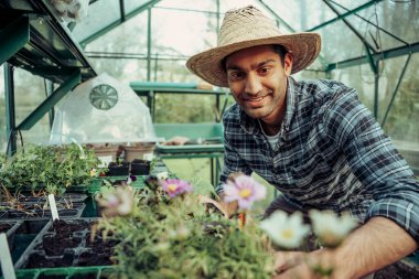 Yeşil evde çalışan melez erkek çiftçi.