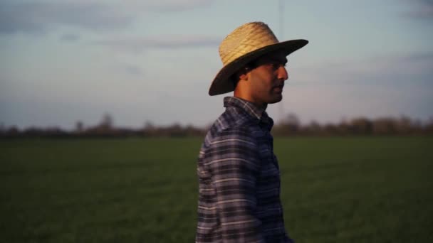 Raça mista agricultor masculino em pé em campos de trigo sorrindo com os braços cruzados — Vídeo de Stock