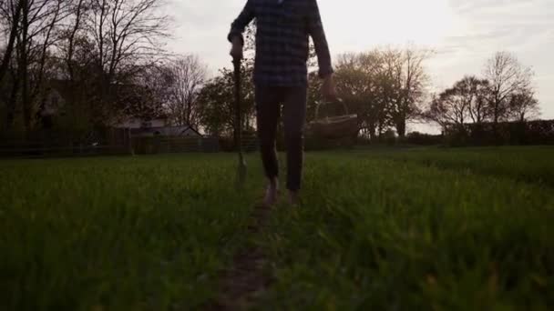 ピッチフォークで小麦畑を歩く混合レース男性農家 — ストック動画