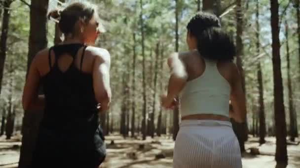 Amestecat rasă prietenele de sex feminin jogging în pădure sejur activ — Videoclip de stoc
