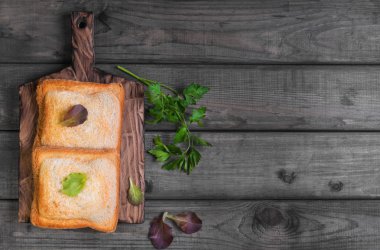 Italian hot crispy panini sandwiches