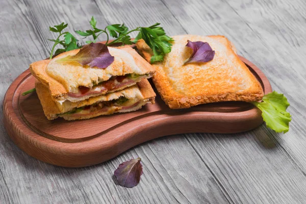Italian hot crispy toasted panini sandwiches — Φωτογραφία Αρχείου