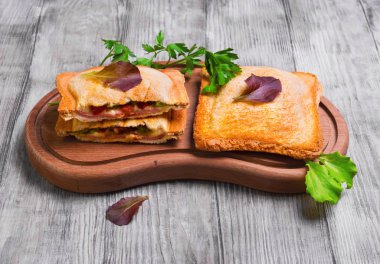 Italian hot crispy toasted panini sandwiches