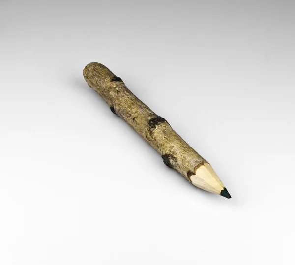 Дерев'яний олівець з зеленим листом — стокове фото