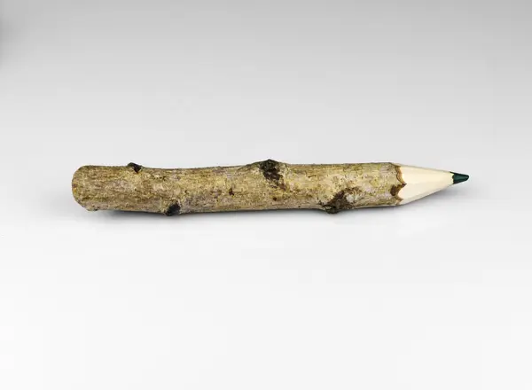 Wood pencil with green leaf — Stock Photo, Image