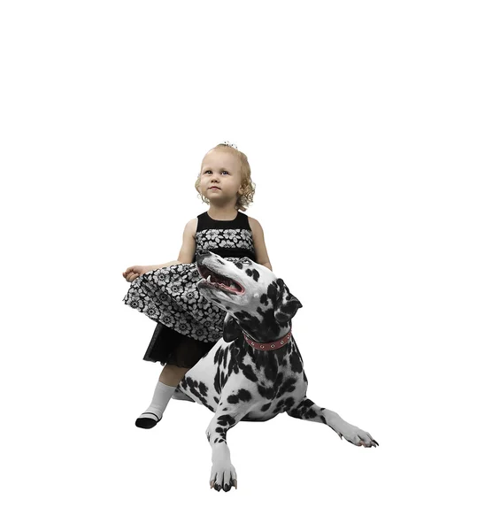 Little girl riding a Dalmatian dog — Stock Photo, Image