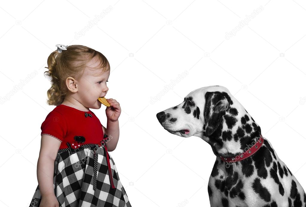 Little girl eats cookies and teases Dalmatian dog