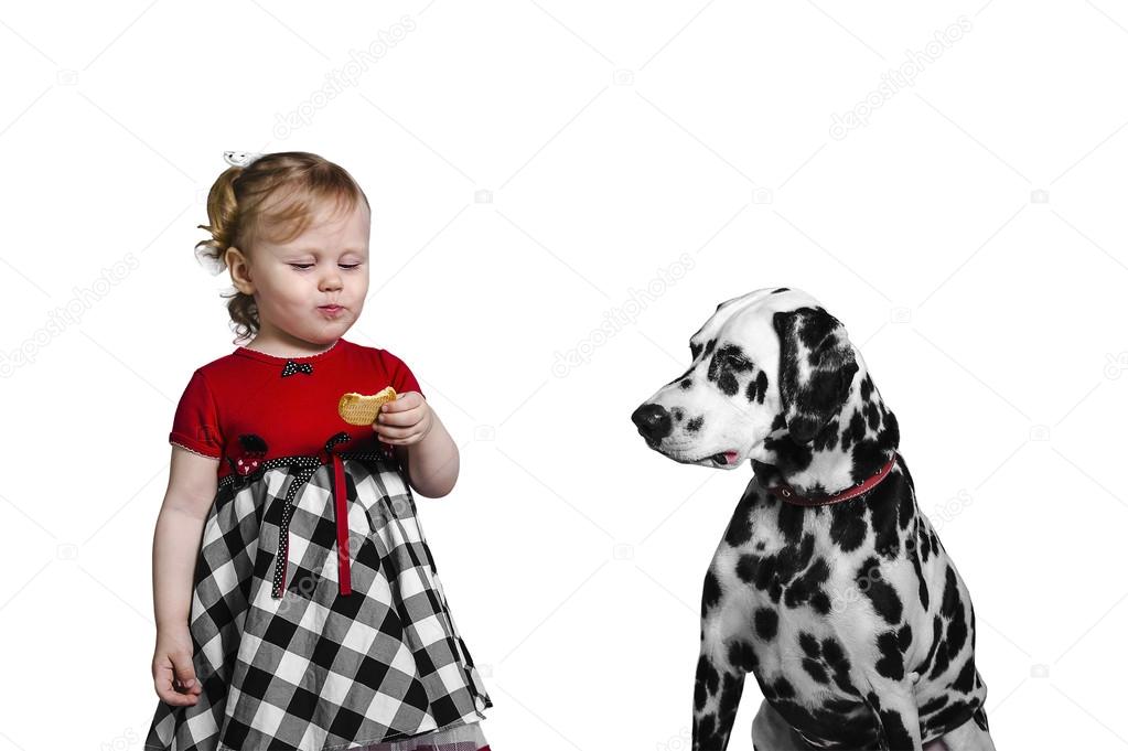 Little girl eats cookies and teases Dalmatian dog