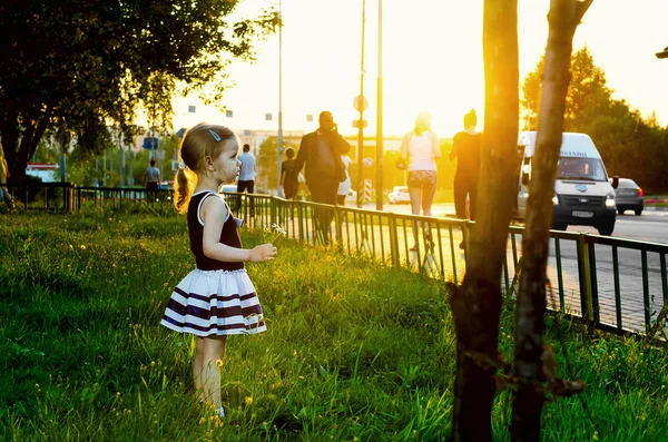 Şehir ve doğa muhalefet