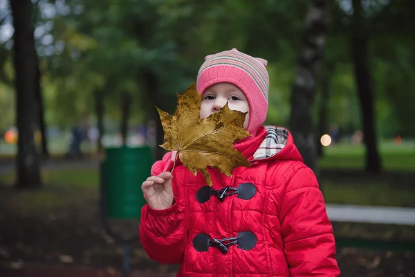 Dívka s javorový list — Stock fotografie