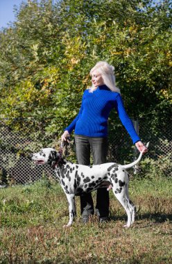 Güzel sarışın kız işleyicisi ve Dalmaçya önünde