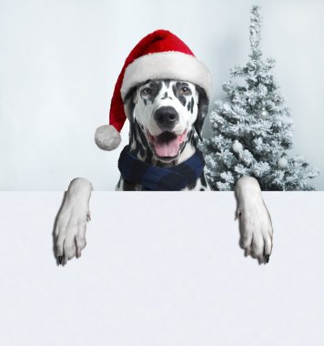 Noel Baba Noel top pençe ve bir çan köpekle