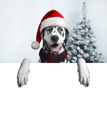 Noel Baba Noel top pençe ve bir çan köpekle
