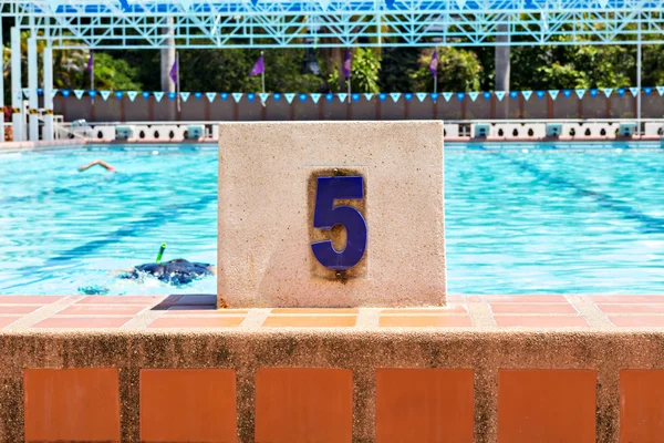 Corsia della piscina numero 5 — Foto Stock