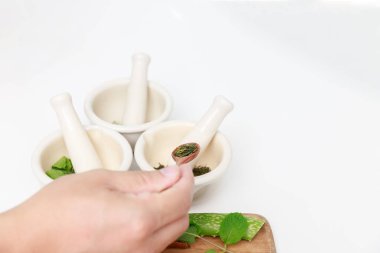 Taze bitkilerle bitkisel ilaç hazırlama ve doğal alternatif ilaçlarda kullanılan kurumuş çiçekler. Bilim adamı ya da doktor laboratuvarda bitkisel ilaç yapıyor..