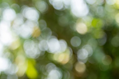 ufuk bokeh ışıklar