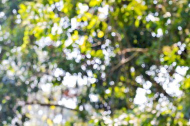 Bulanık soyut arkaplan