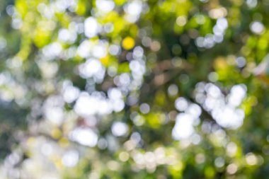 ufuk soyut ışıklar