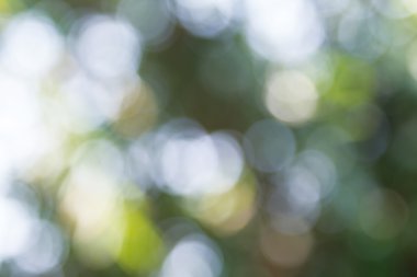 ufuk soyut ışıklar