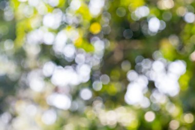 ufuk soyut ışıklar