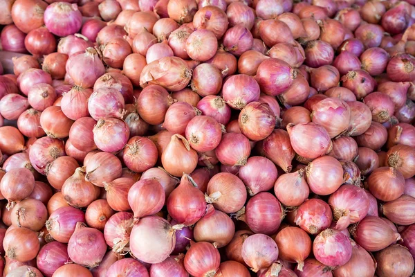 Rode of paarse uien — Stockfoto