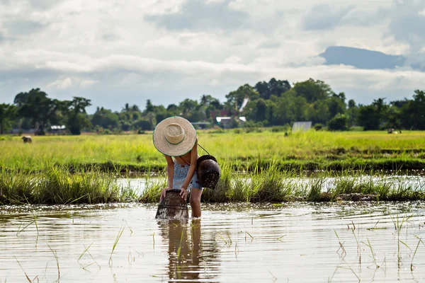 태국 젊은 농업 쿠퍼와 물고기 잡기 — 스톡 사진