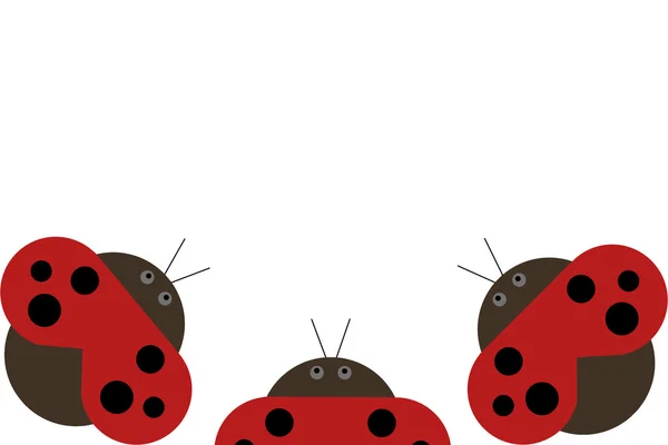 Scarafaggi coccinella — Foto Stock