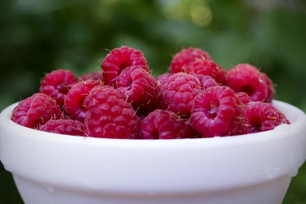 A plate full of fresh ripe raspberries with green leaves — Stock Photo, Image