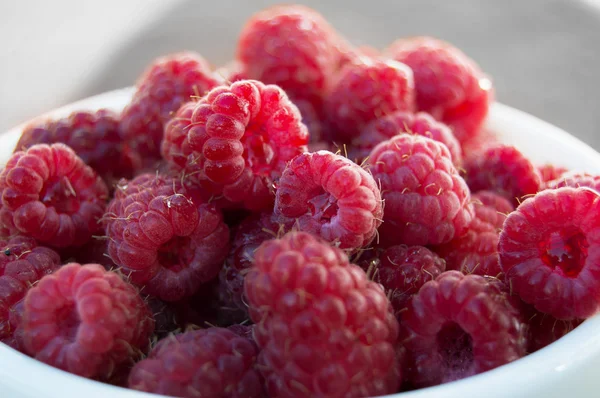 Cup fresh ripe juicy natural raspberry gathered in the garden of — Stock Photo, Image