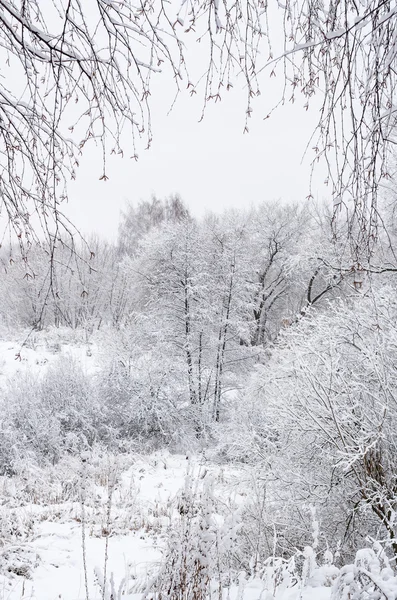 Nevado paisaje de invierno —  Fotos de Stock