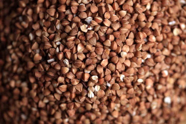 Grains of buckwheat — Stock Photo, Image
