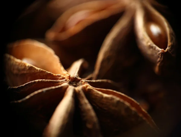 Anise star macro. Plant, agriculture, spice. Ingredient for aniseed alcohol: raki, ouzo, arak, sambuka. Natural, organic flavor badian closeup