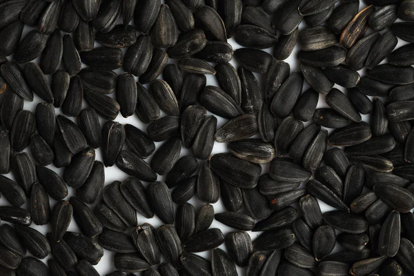 Black sunflower seeds close-up. Background — Stock Photo, Image