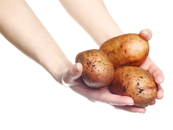 Frauenhände, die Kartoffeln isoliert auf weißem Hintergrund halten — Stockfoto