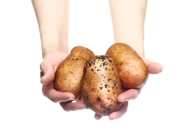 Kvinnans händer som håller potatis isolerad på vit bakgrund — Stockfoto