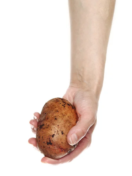 Kvinnans hand innehav potatis isolerad på vit bakgrund — Stockfoto