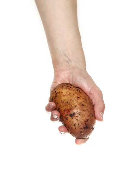 Kvinnans händer som håller potatis isolerad på vit bakgrund — Stockfoto