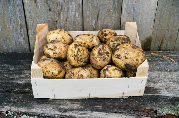Πατάτες σε ξύλινο κουτί — Φωτογραφία Αρχείου