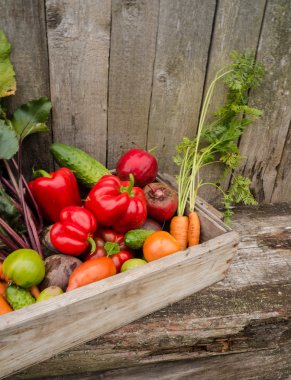 bir kutu içinde sebze