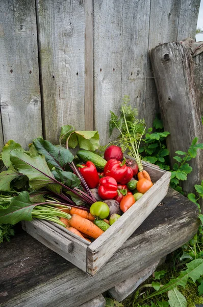 Légumes dans une boîte — Photo
