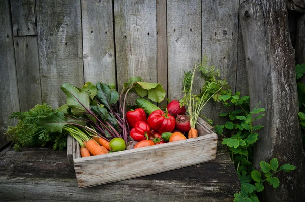 Verduras en una caja — Foto de Stock