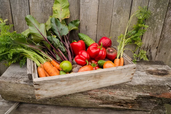 Vegetables in a box — Stock Photo, Image