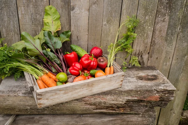 Légumes dans une boîte — Photo