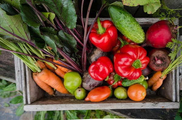 Verduras en una caja — Foto de Stock