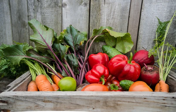 Verduras en una caja — Foto de Stock