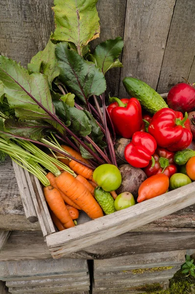 Verduras en una caja — Foto de Stock