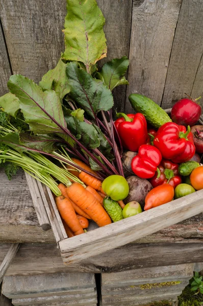 Verduras en una caja — Foto de Stock